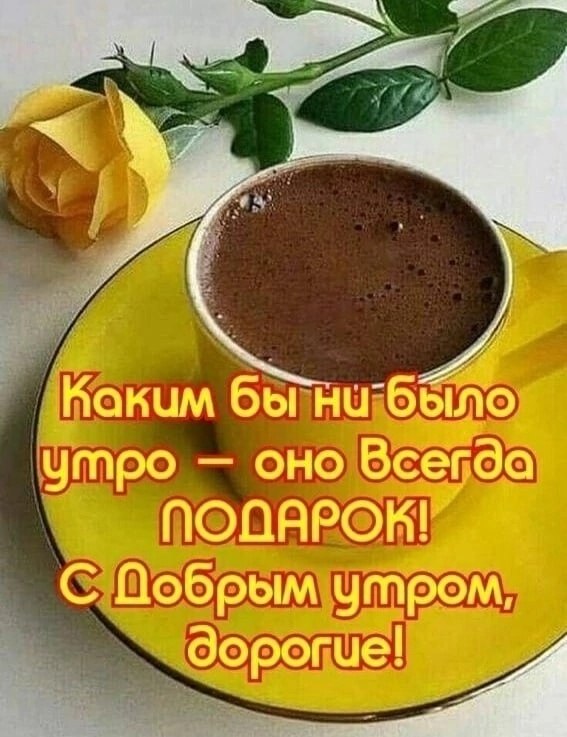   ,    . - 7  2025  23:51