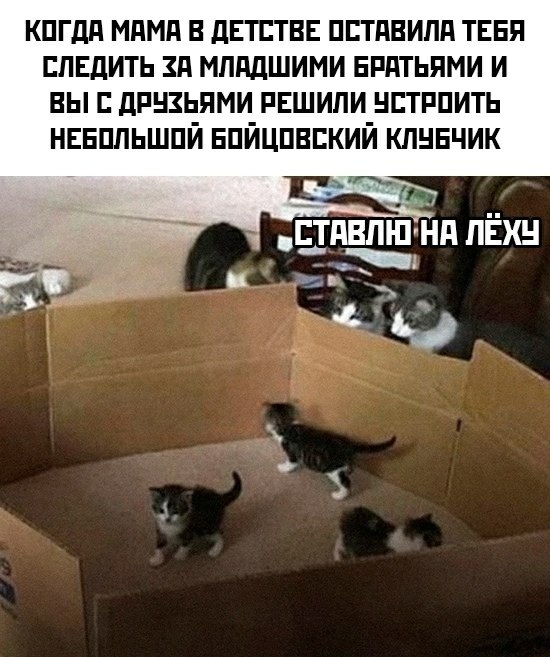  - 29  2025  20:18