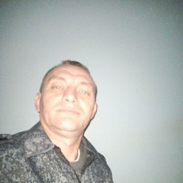 ���������, 41 ���, ���������