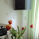 ���� ������, ��������, 50 ��� - ��������� 11 ����� 2025