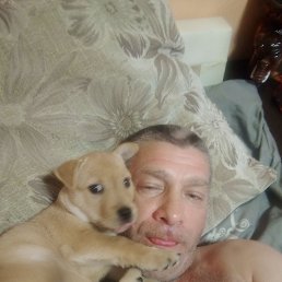 ������, 45 ���, ��������