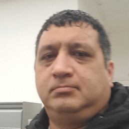 ����, ������, 40 ���