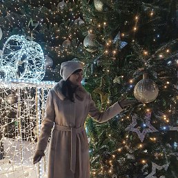 �����, �������, 48 ���