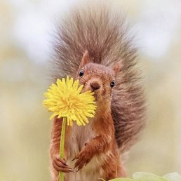 ���, ������, 27 ���