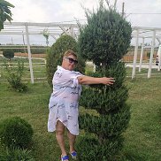 �����, 58 ���, ����-�����������