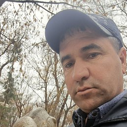 �����, ������, 40 ���