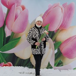 , 62, 