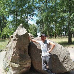 ������, �����, 43 ����