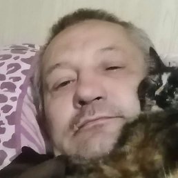 ����������, ����, 49 ���