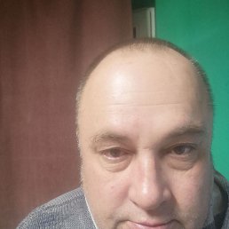 ���� ������, �����, 53 ���� - ��������� 13 ������ 2026