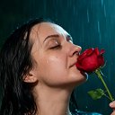 ���� �����, ����������� ����, 41 ��� - ��������� 9 ����� 2026