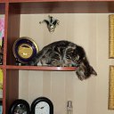 ���� ������, ����������, 65 ��� - ��������� 21 ������ 2025 � ������ ������ ��������