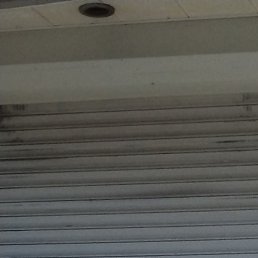 �������, �������, 49 ���