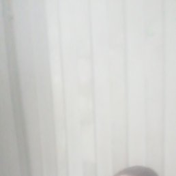 ����, �����-���������, 38 ���