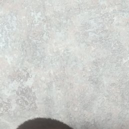 �����, 27 ���, �������
