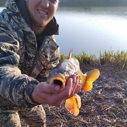 ������� ��������, ���������, 49 ���