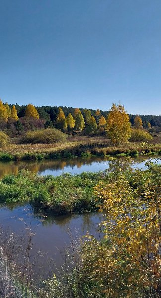 ���������, ���� �������... - 7