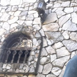 Lex, �����, 48 ���