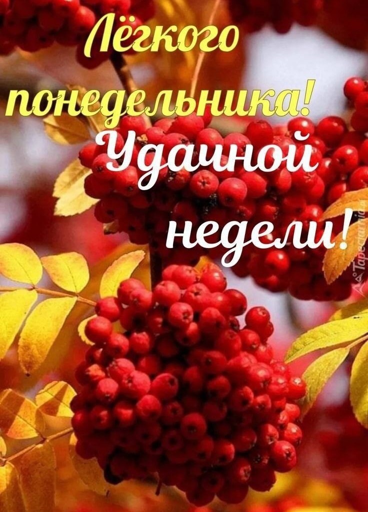   ,    . - 6  2025  08:52