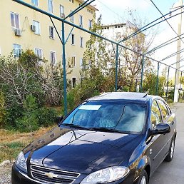 �����, �����-���������, 42 ����