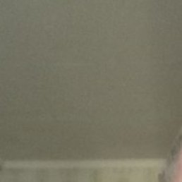 �������, ������, 54 ����