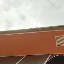 ����, ���������, 51 ���