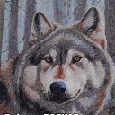 ���� �����, ���������, 50 ��� - ��������� 13 ����� 2026 � ������ ���� ����������