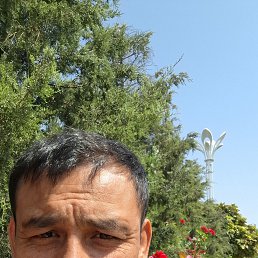 ���� ������, �����-���������, 39 ��� - ��������� 28 ������ 2026