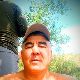 , 49, 