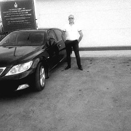 ���� B.v.g, �������, 40 ��� - ��������� 25 ��� 2024