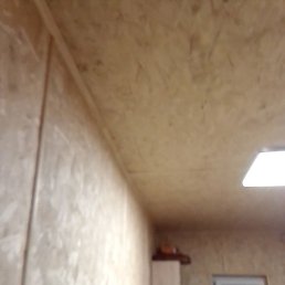 �����, �����������, 37 ���