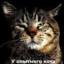 ���� ����, ����������, 58 ��� - ��������� 16 ������� 2025 � ������ ���� ����������