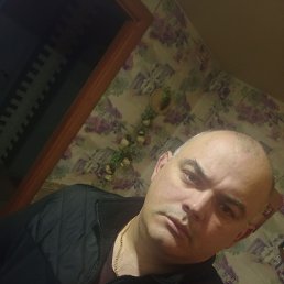 ���� �����, �������, 44 ���� - ��������� 26 ������� 2024