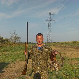 �������, 43 ����, ���������