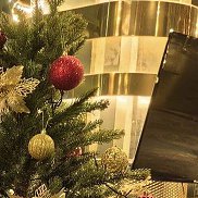 �����, 51 ���, ��������