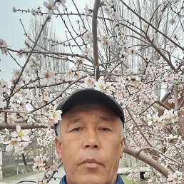 ���� Zafarjon, ������, 54 ���� - ��������� 10 ����� 2024