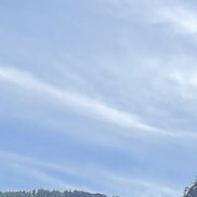 ������, 41 ���, �����������