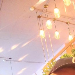 ����, ���������, 42 ����