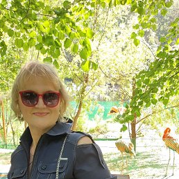 Olga, �����������