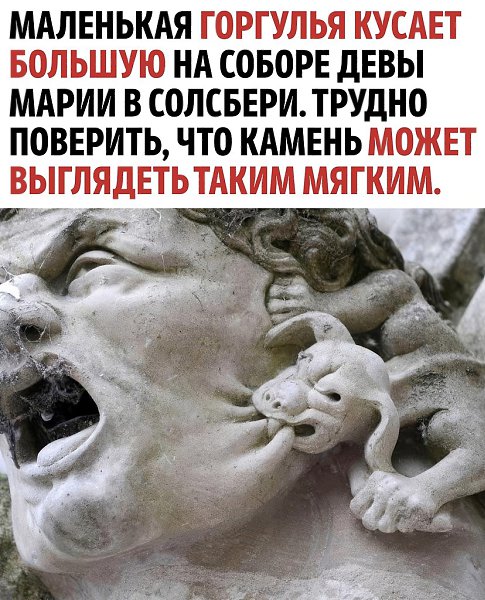 ����� �� ���������� ����������� ���� �������