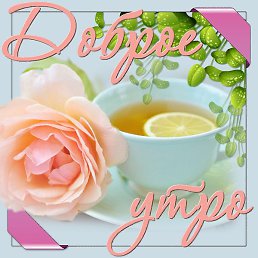 ����, ����������, 45 ���