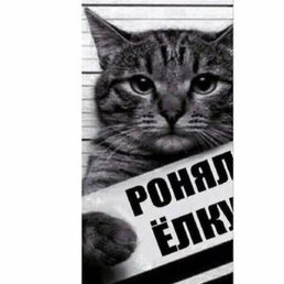 Фото Юрий, Нижний Новгород, 63 года Юрий, Нижний Новгород, 63 года