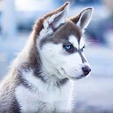 ���� *Len@r*, ������� - ��������� 14 ������ 2024 � ������ ������ ��������