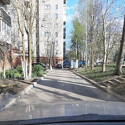 ������, ������, 51 ���