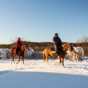 ���� �������, �����, 55 ��� - ��������� 22 ������� 2025 � ������ ���� ����������