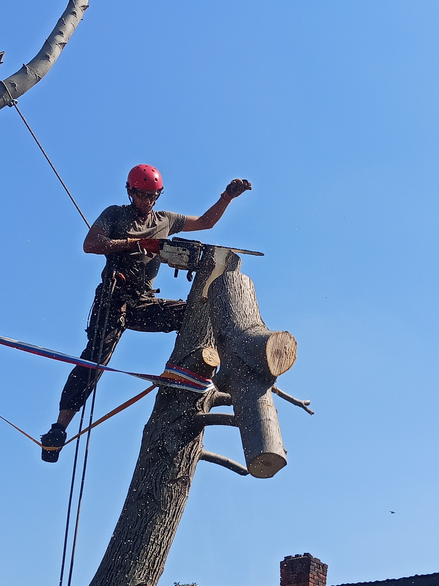 �������� ��������� ������������ - 19 ������� 2026 � 05:21 - 9