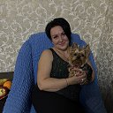 ���� ������, ������, 52 ���� - ��������� 19 ���� 2026 � ������ ���� ����������