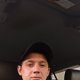 ���� ����������, ������������, 43 ���� - ��������� 11 ������� 2026