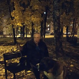 ���� ����, ������, 62 ���� - ��������� 14 ������ 2023