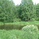 ���� ���������, �����, 55 ��� - ��������� 8 ����� 2025 � ������ ���� ���������� �����